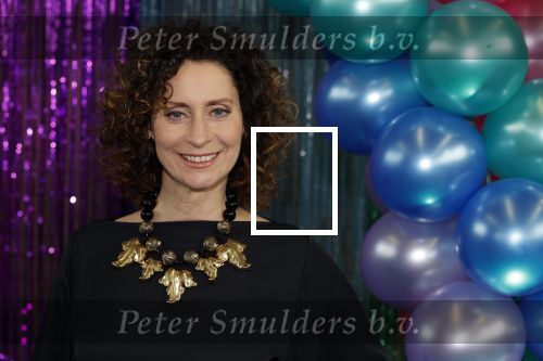 Maarssenbroek 1 maart 2022
Presentatie van Musical the Prom met rollen voor oa Pia Douwes Dennis Willekens Joke de Kruijf Barry Beijer Wieneke Remmers en Rogier Komproe. Hans Cornelissen is de producent.