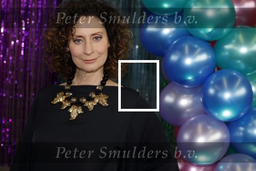 Maarssenbroek 1 maart 2022
Presentatie van Musical the Prom met rollen voor oa Pia Douwes Dennis Willekens Joke de Kruijf Barry Beijer Wieneke Remmers en Rogier Komproe. Hans Cornelissen is de producent.
