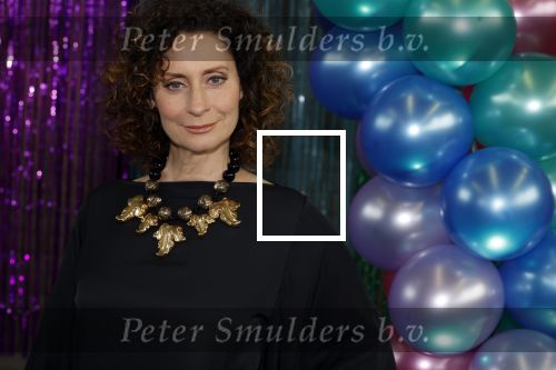 Maarssenbroek 1 maart 2022
Presentatie van Musical the Prom met rollen voor oa Pia Douwes Dennis Willekens Joke de Kruijf Barry Beijer Wieneke Remmers en Rogier Komproe. Hans Cornelissen is de producent.