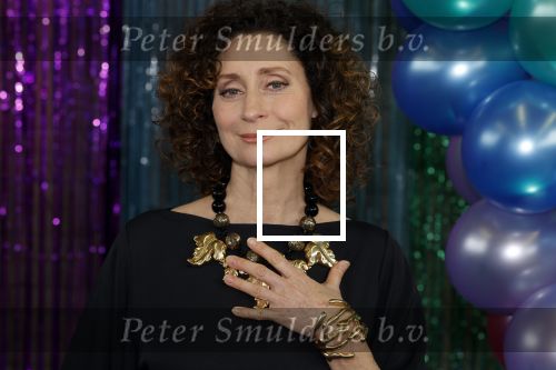 Maarssenbroek 1 maart 2022
Presentatie van Musical the Prom met rollen voor oa Pia Douwes Dennis Willekens Joke de Kruijf Barry Beijer Wieneke Remmers en Rogier Komproe. Hans Cornelissen is de producent.