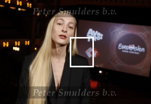 Amsterdam 3 maart 2022
Presenatie liedje van S10 ( Stien den Hollander) waar ze nederland mee gaat vertegenwoordigen bij het songfestival in Italie. Presentatie was in Tuschinski.