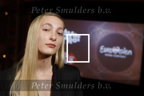 Amsterdam 3 maart 2022
Presenatie liedje van S10 ( Stien den Hollander) waar ze nederland mee gaat vertegenwoordigen bij het songfestival in Italie. Presentatie was in Tuschinski.