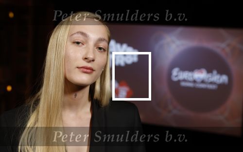 Amsterdam 3 maart 2022
Presenatie liedje van S10 ( Stien den Hollander) waar ze nederland mee gaat vertegenwoordigen bij het songfestival in Italie. Presentatie was in Tuschinski.