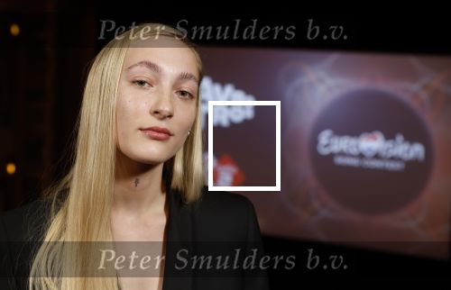 Amsterdam 3 maart 2022
Presenatie liedje van S10 ( Stien den Hollander) waar ze nederland mee gaat vertegenwoordigen bij het songfestival in Italie. Presentatie was in Tuschinski.
