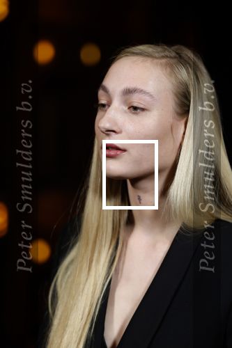 Amsterdam 3 maart 2022
Presenatie liedje van S10 ( Stien den Hollander) waar ze nederland mee gaat vertegenwoordigen bij het songfestival in Italie. Presentatie was in Tuschinski.
