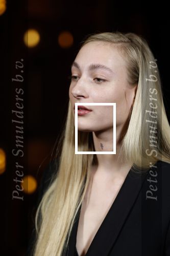 Amsterdam 3 maart 2022
Presenatie liedje van S10 ( Stien den Hollander) waar ze nederland mee gaat vertegenwoordigen bij het songfestival in Italie. Presentatie was in Tuschinski.