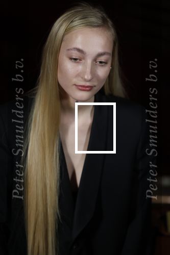 Amsterdam 3 maart 2022
Presenatie liedje van S10 ( Stien den Hollander) waar ze nederland mee gaat vertegenwoordigen bij het songfestival in Italie. Presentatie was in Tuschinski.