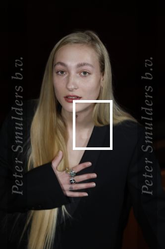 Amsterdam 3 maart 2022
Presenatie liedje van S10 ( Stien den Hollander) waar ze nederland mee gaat vertegenwoordigen bij het songfestival in Italie. Presentatie was in Tuschinski.