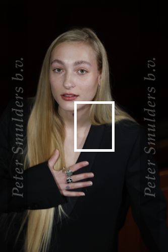 Amsterdam 3 maart 2022
Presenatie liedje van S10 ( Stien den Hollander) waar ze nederland mee gaat vertegenwoordigen bij het songfestival in Italie. Presentatie was in Tuschinski.