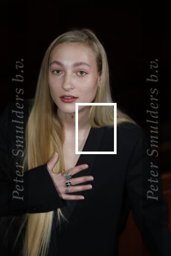 Amsterdam 3 maart 2022
Presenatie liedje van S10 ( Stien den Hollander) waar ze nederland mee gaat vertegenwoordigen bij het songfestival in Italie. Presentatie was in Tuschinski.