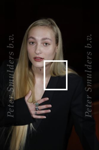 Amsterdam 3 maart 2022
Presenatie liedje van S10 ( Stien den Hollander) waar ze nederland mee gaat vertegenwoordigen bij het songfestival in Italie. Presentatie was in Tuschinski.