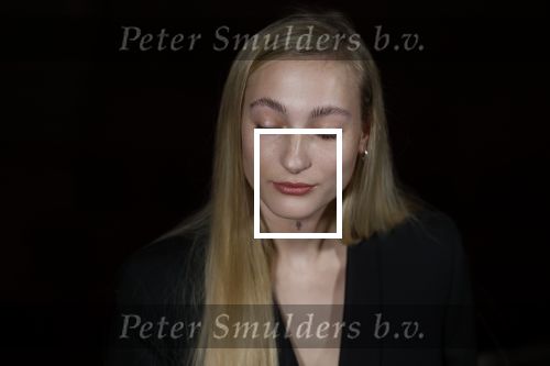 Amsterdam 3 maart 2022
Presenatie liedje van S10 ( Stien den Hollander) waar ze nederland mee gaat vertegenwoordigen bij het songfestival in Italie. Presentatie was in Tuschinski.