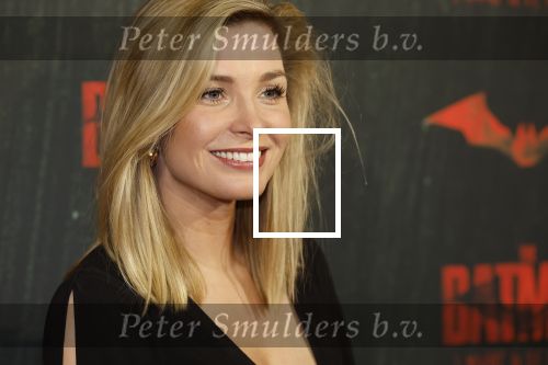 Amsterdam 28 februari 2022
Premiere Batman in Pathe Arena .
Welmoed Sijtsma kwam met Renee Bosveld