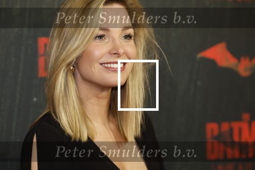 Amsterdam 28 februari 2022
Premiere Batman in Pathe Arena .
Welmoed Sijtsma kwam met Renee Bosveld