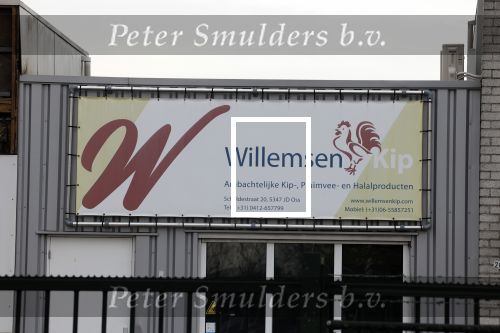 Oss 1 maart 2022
Willemsen kip in Oss