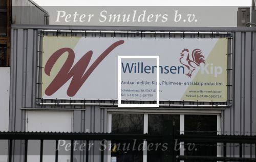 Oss 1 maart 2022
Willemsen kip in Oss
