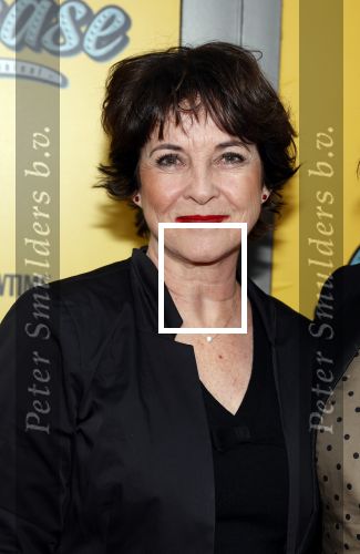 Amsterdam 3 april 2023
Premiere Grease in het DeLaMar theater.
Anne- Mieke Ruyten