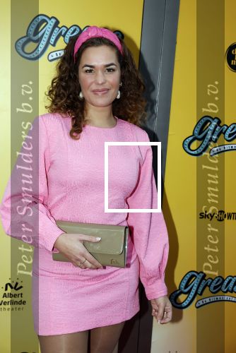 Amsterdam 3 april 2023
Premiere Grease in het DeLaMar theater.
Annefleur v d Bergop