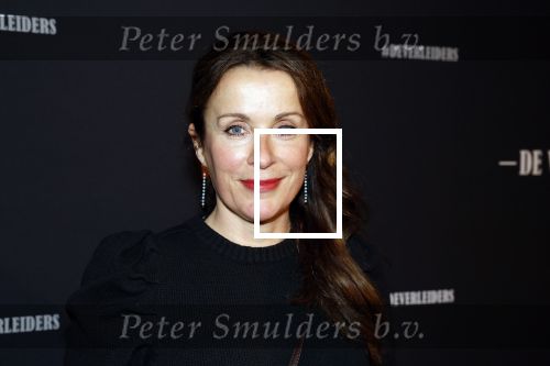Amsterdam 15 maart 2023
Premiere de Verleiders in het deLaMar Theater.
Annick Boer