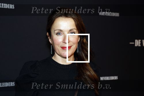 Amsterdam 15 maart 2023
Premiere de Verleiders in het deLaMar Theater.
Annick Boer