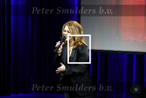 Zeist 26 maart 2023
Hans Kazan viert zijn 70e verjaardag en presenteert zijn boek. Ook krijgt hij een koninklijke onderscheiding in het Figi Theater/Hotel. Antje Monteiro