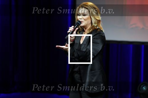 Zeist 26 maart 2023
Hans Kazan viert zijn 70e verjaardag en presenteert zijn boek. Ook krijgt hij een koninklijke onderscheiding in het Figi Theater/Hotel. Antje Monteiro