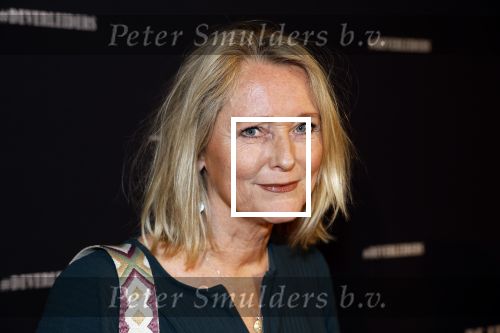 Amsterdam 15 maart 2023
Premiere de Verleiders in het deLaMar Theater.
Antoinette Hertsenberg kwam met haar dochter