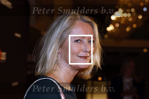 Amsterdam 15 maart 2023
Premiere de Verleiders in het deLaMar Theater.
Antoinette Hertsenberg kwam met haar dochter