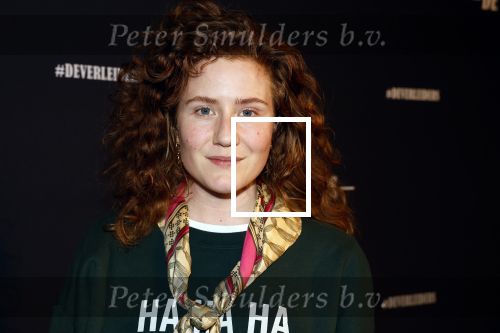 Amsterdam 15 maart 2023
Premiere de Verleiders in het deLaMar Theater.
Britte Lagcher en ...