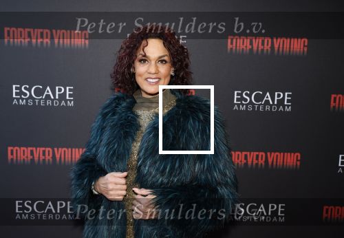 Amsterdam 30 maart 2023
Premiere show forever young in de escape.
Chimene v Oosterhout