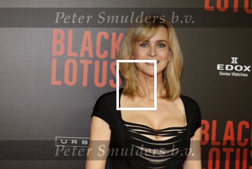Amsterdam 10 april 2023
Premiere Black Lotus in Tuschinski met Rico Verhoeven in de hoofdrol.
daphne Deckers kwam met dochter Emma Deckers