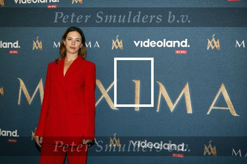 Amsterdam 16 maart 2023
Presentatie serie over koningin Maxima die Videoland uit gaat zenden.
Presentatie was in het Amstel Hotel . Martijn lakemeier Gaat Koning Willem Alexander spelen en de Argentijnse actrice Delfina Chaves speelt Koningin Maxima . Daphne Bunskoek presenteerde het.
Ook Peter v d Vorst en Rachel van Bommel (producente) waren ook aanwezig.