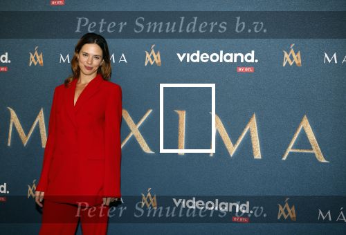 Amsterdam 16 maart 2023
Presentatie serie over koningin Maxima die Videoland uit gaat zenden.
Presentatie was in het Amstel Hotel . Martijn lakemeier Gaat Koning Willem Alexander spelen en de Argentijnse actrice Delfina Chaves speelt Koningin Maxima . Daphne Bunskoek presenteerde het.
Ook Peter v d Vorst en Rachel van Bommel (producente) waren ook aanwezig.