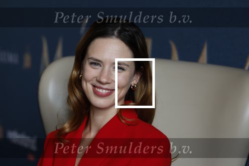 Amsterdam 16 maart 2023
Presentatie serie over koningin Maxima die Videoland uit gaat zenden.
Presentatie was in het Amstel Hotel . Martijn lakemeier Gaat Koning Willem Alexander spelen en de Argentijnse actrice Delfina Chaves speelt Koningin Maxima . Daphne Bunskoek presenteerde het.
Ook Peter v d Vorst en Rachel van Bommel (producente) waren ook aanwezig.