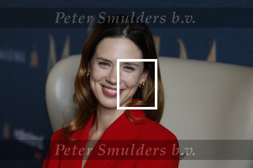 Amsterdam 16 maart 2023
Presentatie serie over koningin Maxima die Videoland uit gaat zenden.
Presentatie was in het Amstel Hotel . Martijn lakemeier Gaat Koning Willem Alexander spelen en de Argentijnse actrice Delfina Chaves speelt Koningin Maxima . Daphne Bunskoek presenteerde het.
Ook Peter v d Vorst en Rachel van Bommel (producente) waren ook aanwezig.