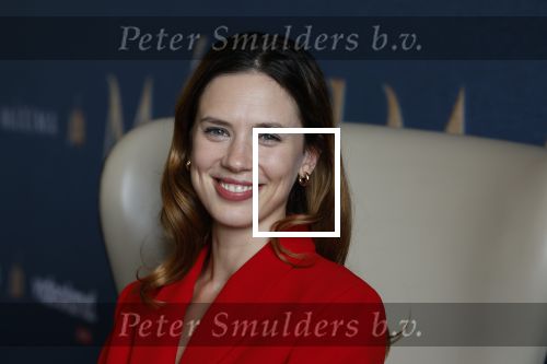 Amsterdam 16 maart 2023
Presentatie serie over koningin Maxima die Videoland uit gaat zenden.
Presentatie was in het Amstel Hotel . Martijn lakemeier Gaat Koning Willem Alexander spelen en de Argentijnse actrice Delfina Chaves speelt Koningin Maxima . Daphne Bunskoek presenteerde het.
Ook Peter v d Vorst en Rachel van Bommel (producente) waren ook aanwezig.