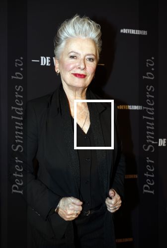 Amsterdam 15 maart 2023
Premiere de Verleiders in het deLaMar Theater.
Doris Baaten
