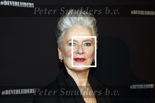 Amsterdam 15 maart 2023
Premiere de Verleiders in het deLaMar Theater.
Doris Baaten