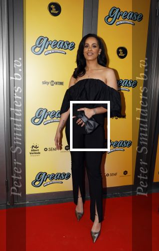 Amsterdam 3 april 2023
Premiere Grease in het DeLaMar theater.
Dyantha Brooks en Bart Ettekoven