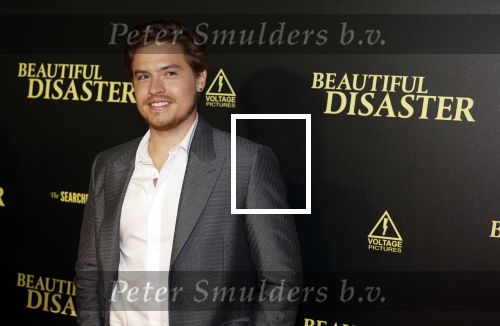 Amsterdam 28 maart 2023
Premiere Beuatiful Disaster in Tuschinksi.
Dylan Sprouse en Virginia Gardner