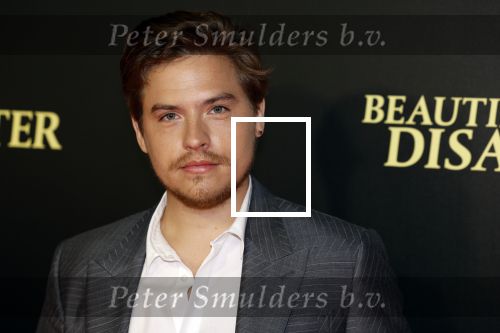 Amsterdam 28 maart 2023
Premiere Beuatiful Disaster in Tuschinksi.
Dylan Sprouse en Virginia Gardner