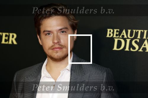 Amsterdam 28 maart 2023
Premiere Beuatiful Disaster in Tuschinksi.
Dylan Sprouse en Virginia Gardner