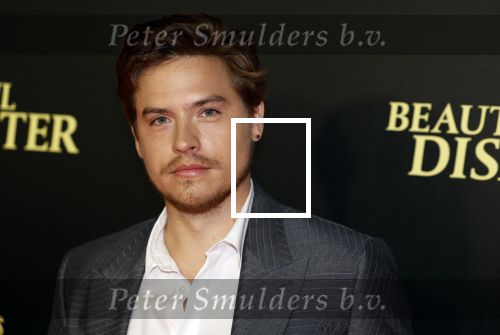 Amsterdam 28 maart 2023
Premiere Beuatiful Disaster in Tuschinksi.
Dylan Sprouse en Virginia Gardner
