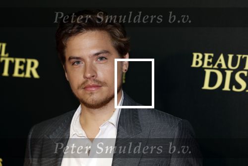 Amsterdam 28 maart 2023
Premiere Beuatiful Disaster in Tuschinksi.
Dylan Sprouse en Virginia Gardner