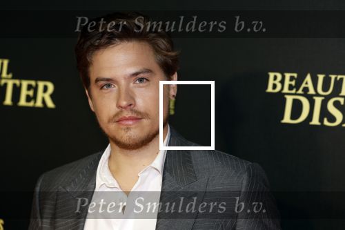 Amsterdam 28 maart 2023
Premiere Beuatiful Disaster in Tuschinksi.
Dylan Sprouse en Virginia Gardner