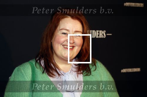 Amsterdam 15 maart 2023
Premiere de Verleiders in het deLaMar Theater.
Eva v d Gucht