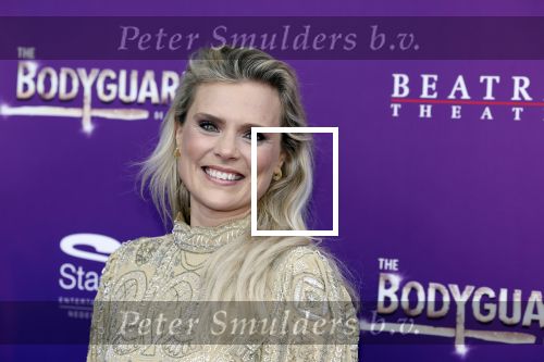 Utrecht 16 april 2023
Premiere the Bodyguard in het Beatrix Theater.