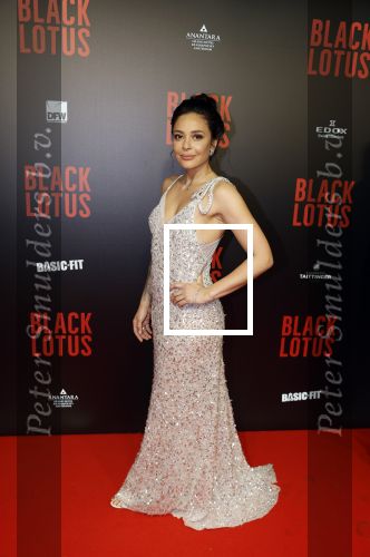 Amsterdam 10 april 2023
Premiere Black Lotus in Tuschinski met Rico Verhoeven in de hoofdrol.
Fajah Lourens met nieuwe vriend