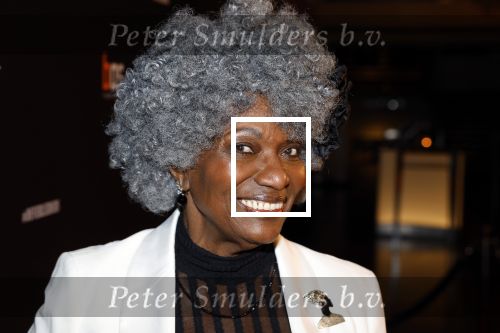 Amsterdam 15 maart 2023
Premiere de Verleiders in het deLaMar Theater.
Gerda Havertong