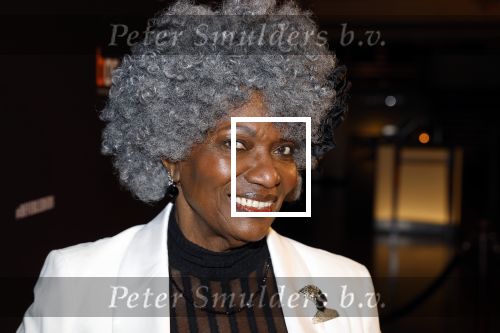 Amsterdam 15 maart 2023
Premiere de Verleiders in het deLaMar Theater.
Gerda Havertong